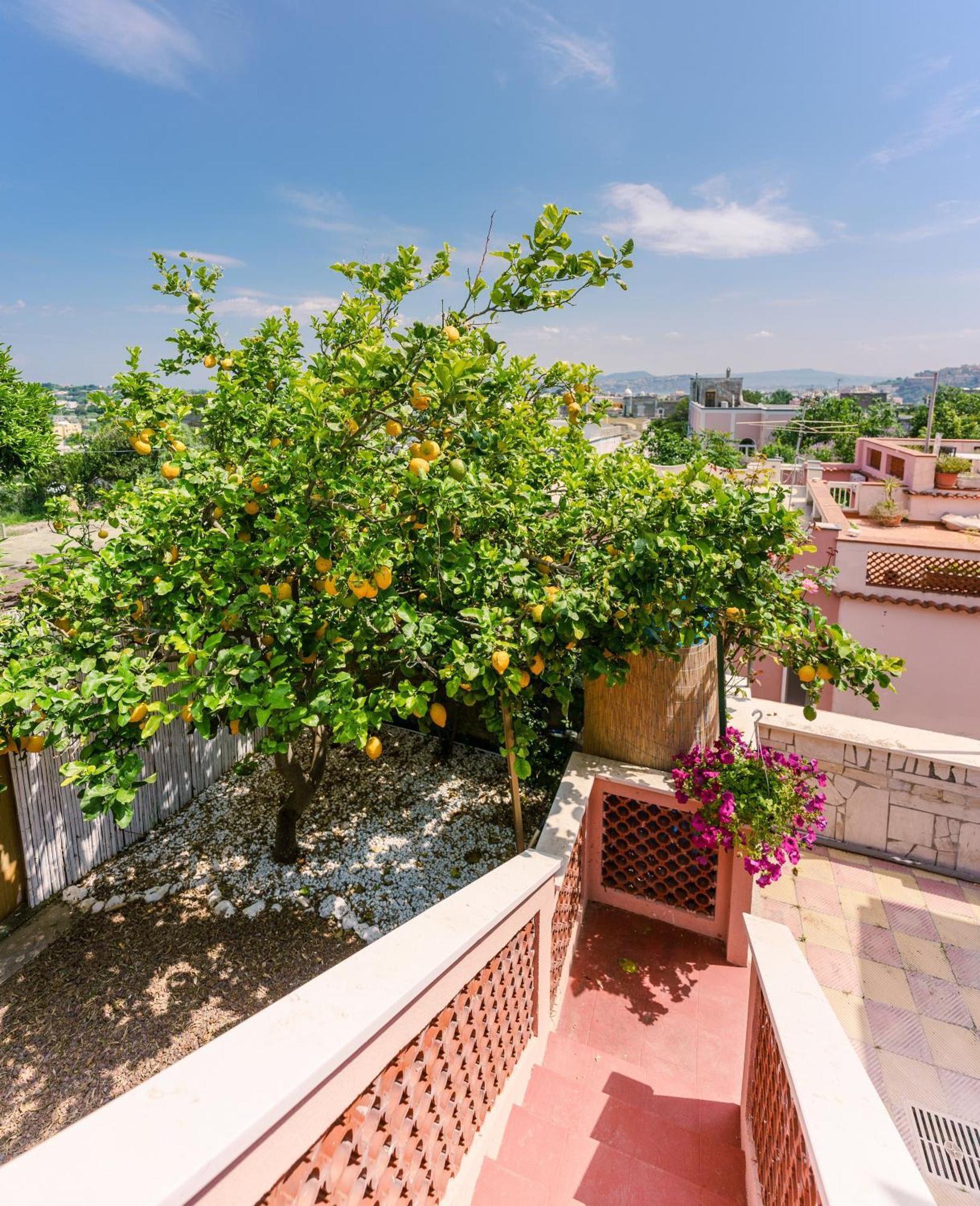 Le Jardin Bed and Breakfast Procida Buitenkant foto